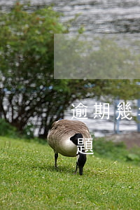 逾期幾年怎么辦，如何處理逾期幾年的債務問題？